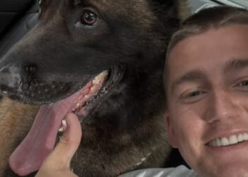 Zien:Mart Hoogkamer herenigd met zijn geliefde hond Ciro