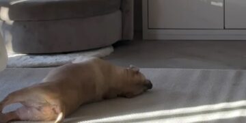 Emotionele update van Monique Westenberg raakt volgers