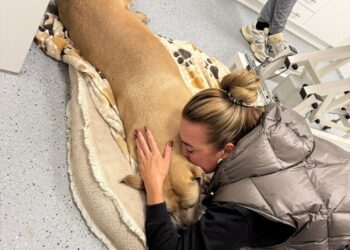 Monique deelt hartverscheurend bericht over Gioia